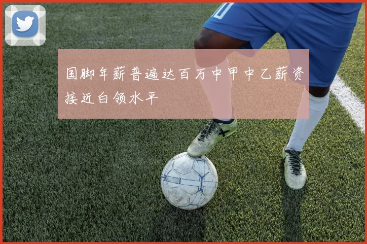 国脚年薪普遍达百万中甲中乙薪资接近白领水平