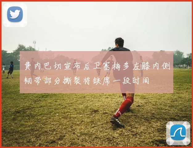 费内巴切宣布后卫塞梅多左膝内侧韧带部分撕裂将缺席一段时间