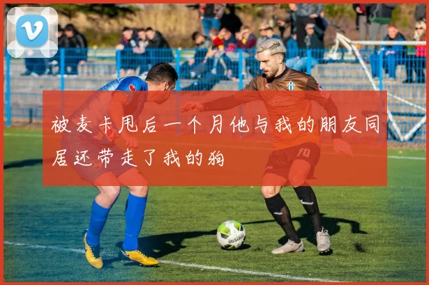 被麦卡甩后一个月他与我的朋友同居还带走了我的狗