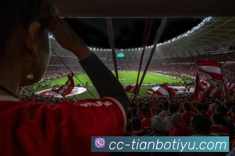 多媒体互动体验