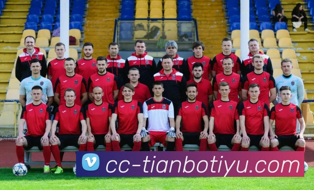 天博体育APP 高清赛事图